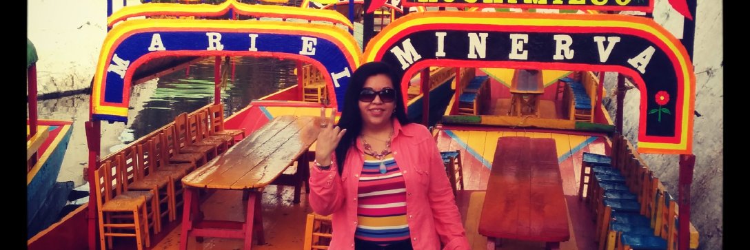 MinervaHdezR's profile banner image