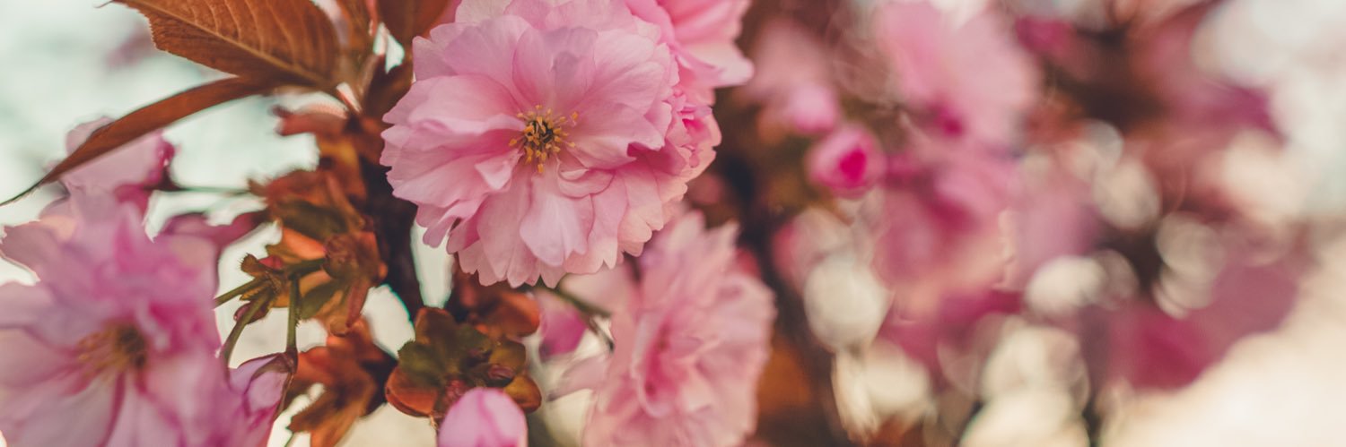 KristyLynn_'s profile banner image