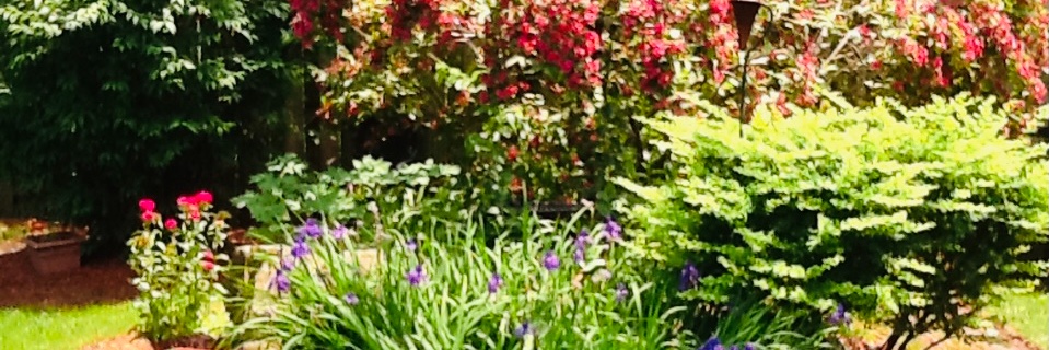 Gcwp1035's profile banner image