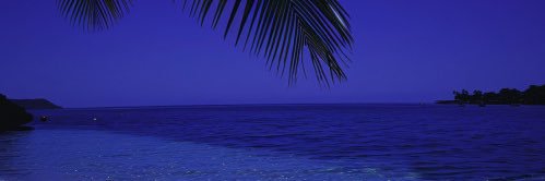 Eli 💎 banner