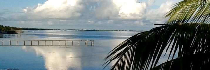 StayCeeBee™️ banner