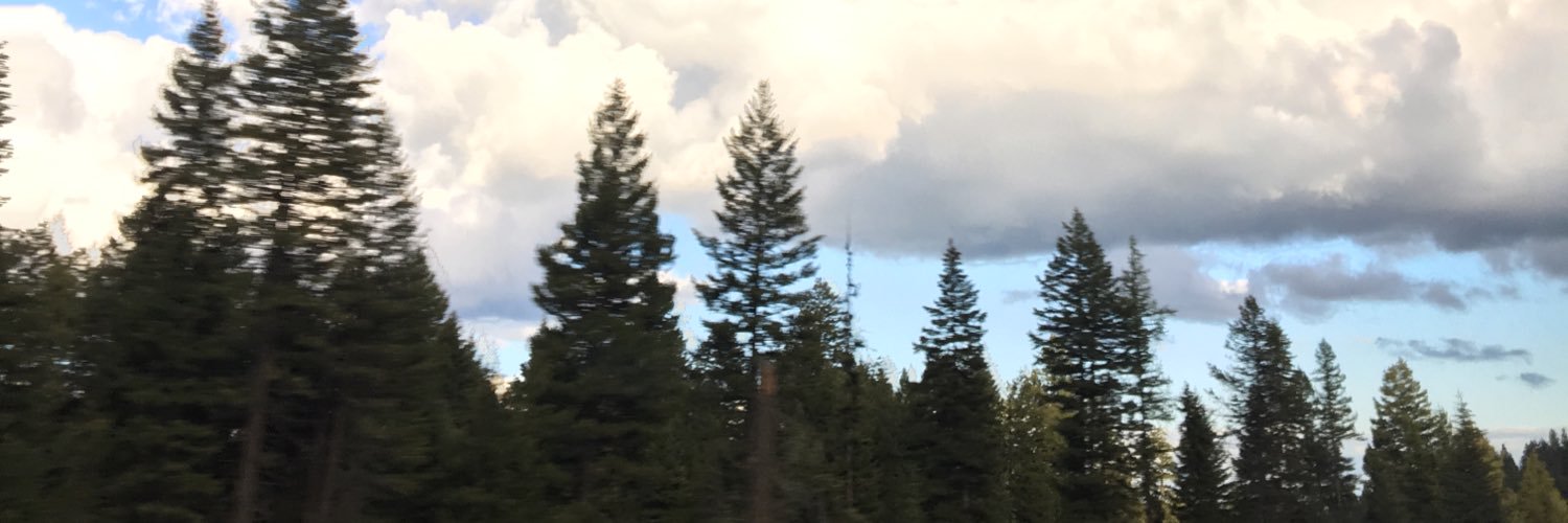 DashingMuffin's profile banner image