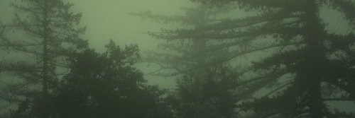 Neilx5524's profile banner image