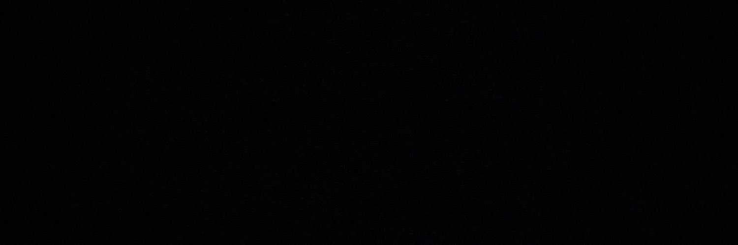 Eric Palmer Jr. banner