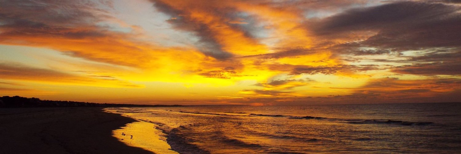 Sarah_Mize's profile banner image