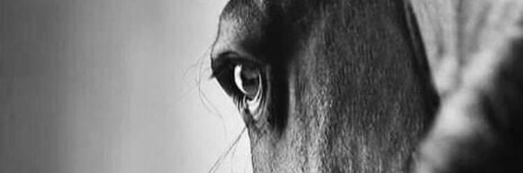 MasterNicaft's profile banner image
