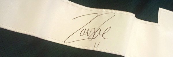 MNWildOne11 Profile Banner