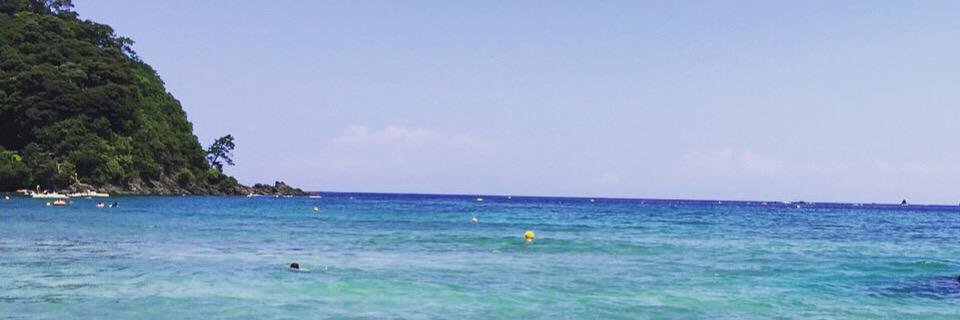 miiiya_s's profile banner image