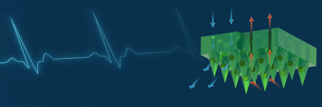 AMcC_PhD's profile banner image