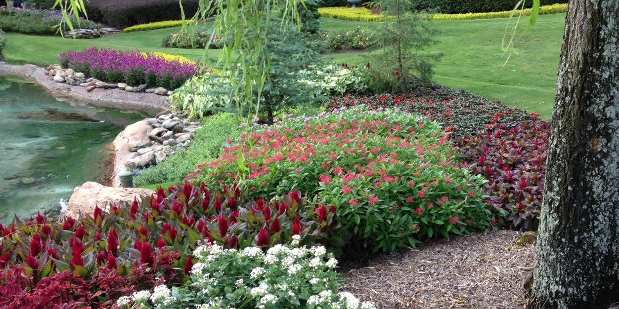 Chessa Timoszyk banner