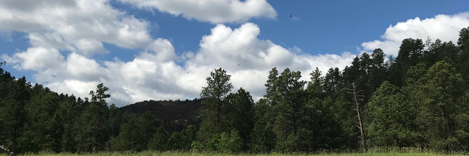 schmadus's profile banner image