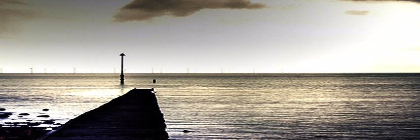 ติ่ง for Fun (Slow Mode) banner