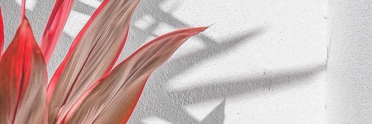haaa23x's profile banner image