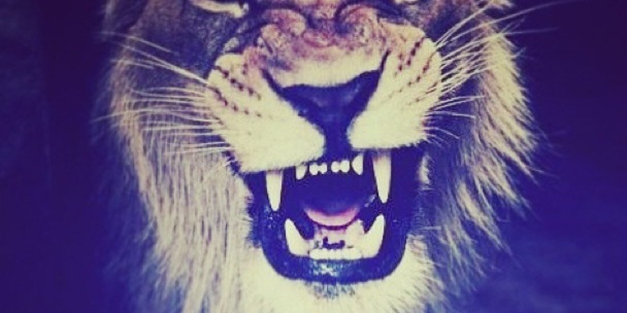 heycarbone's profile banner image