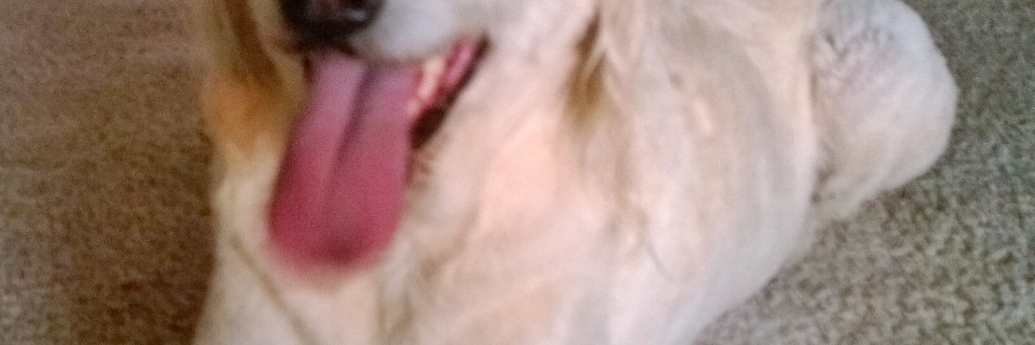 viptandon's profile banner image