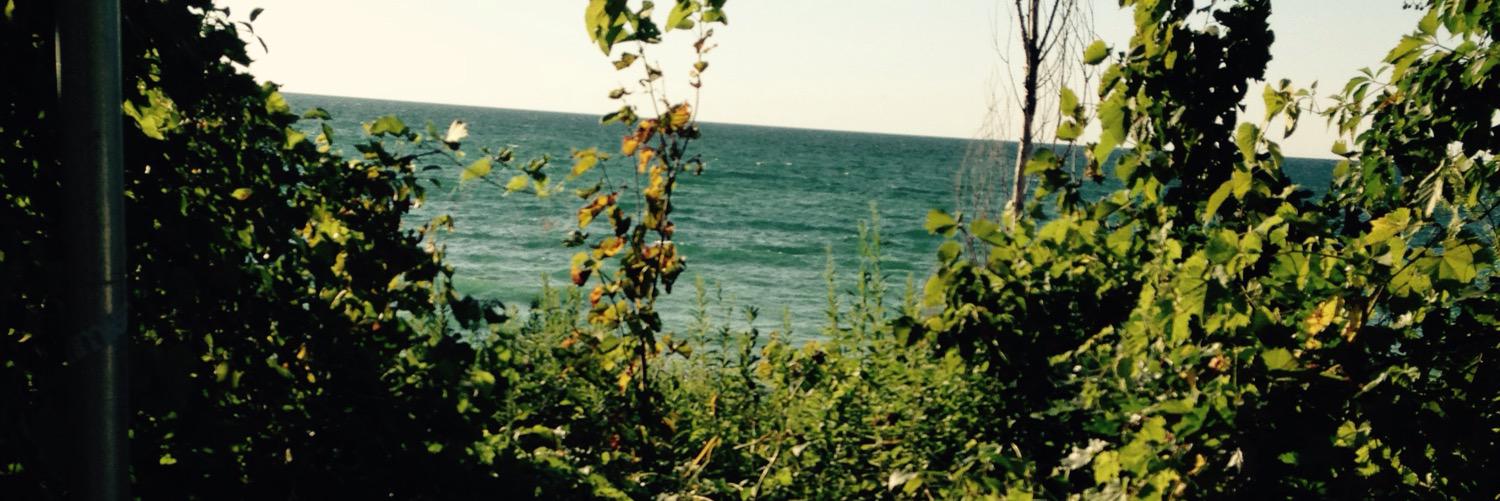 Kathy Dusseau banner