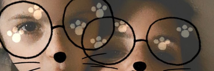 silvi_serrano's profile banner image