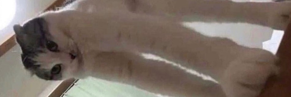 jbhdrip's profile banner image