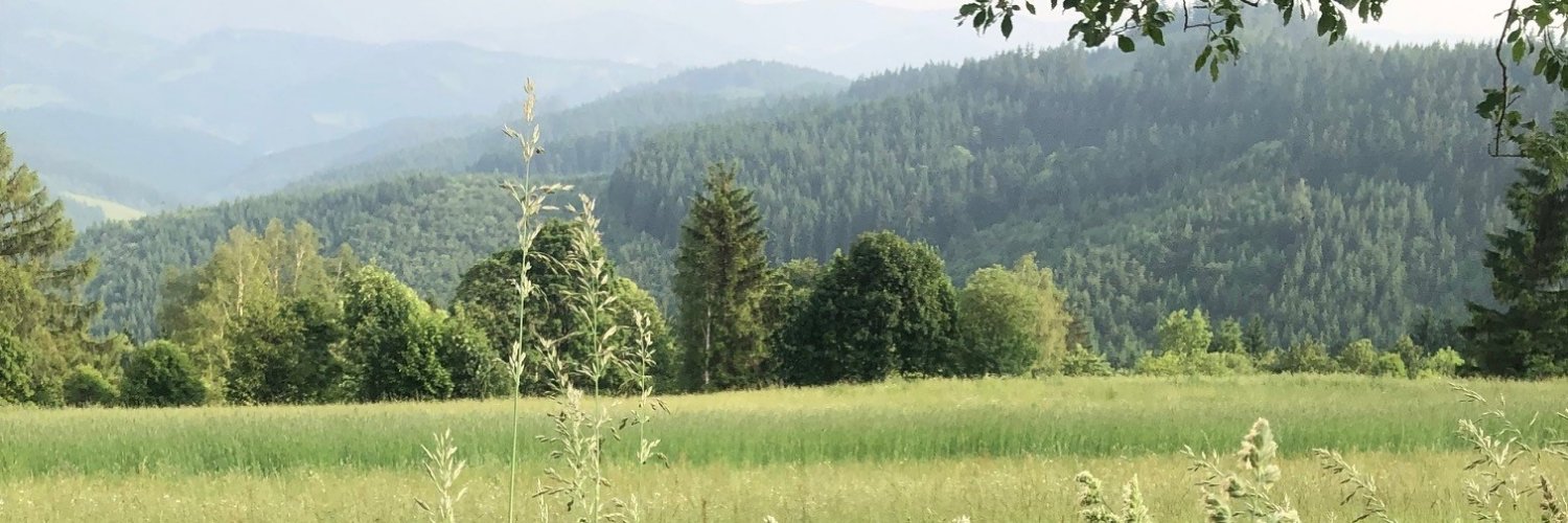 DvoVaclav's profile banner image