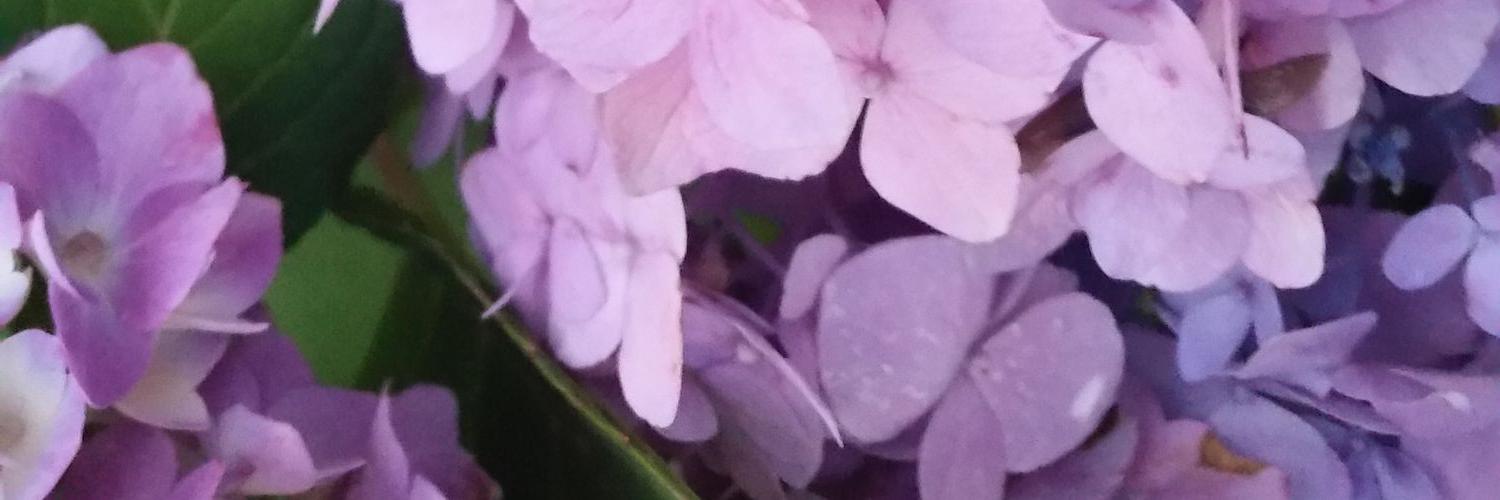 MichelleLewis70's profile banner image
