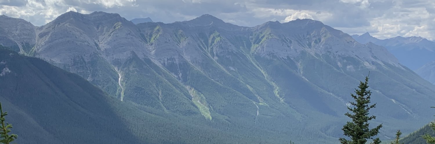 ojassriv's profile banner image
