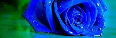 ــيـزيد العقـيـّـلــ banner