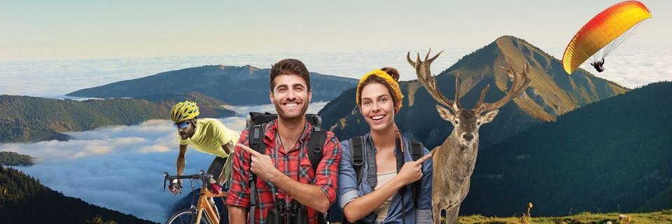 NesteBarousse's profile banner image