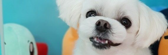 namioda's profile banner image