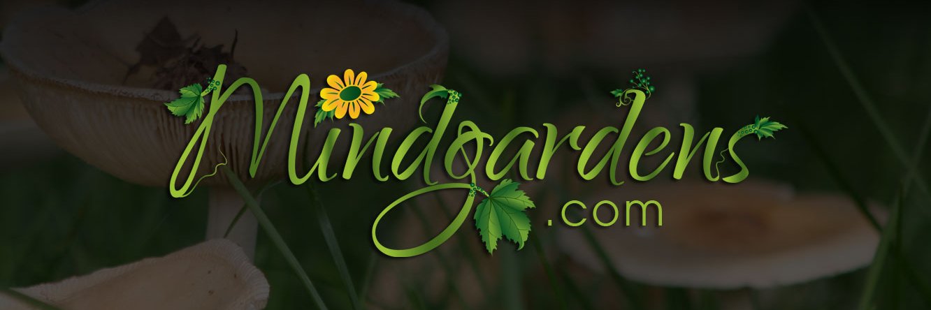 Mindgardens's profile banner image