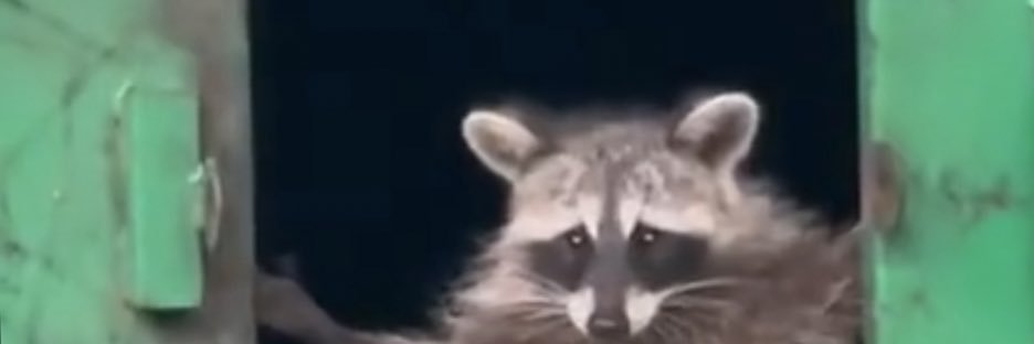 DannyDefBurns's profile banner image