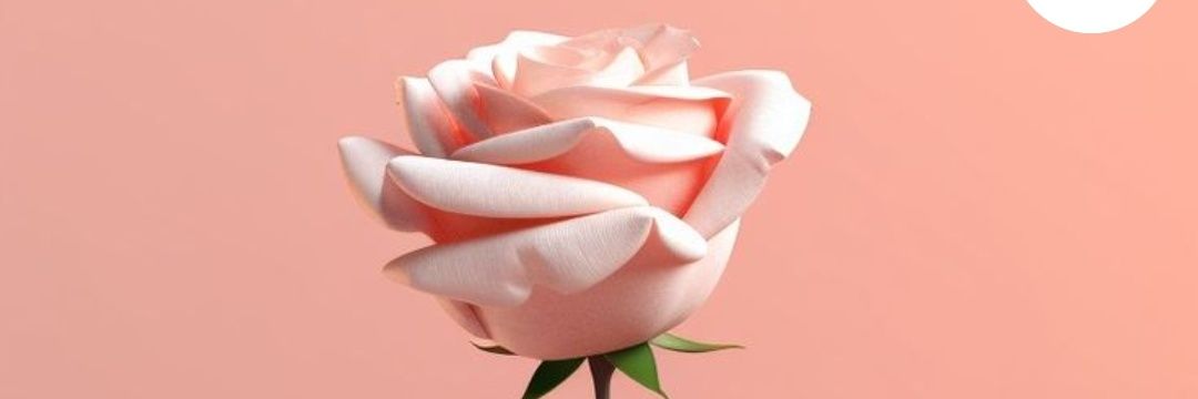 Dwii2147's profile banner image