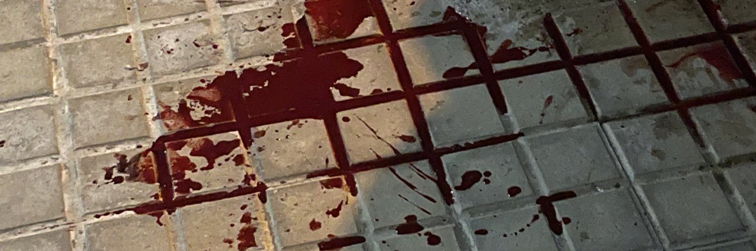 Paztor141's profile banner image