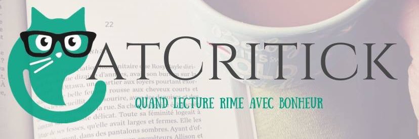 CatCritick's profile banner image