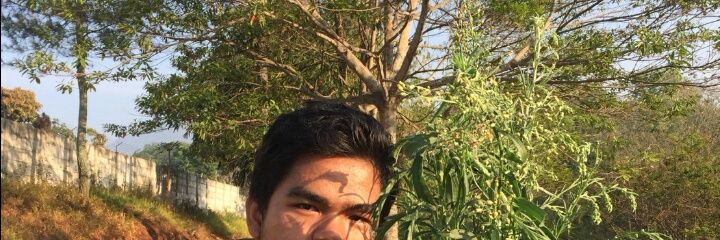 Jechriswa's profile banner image