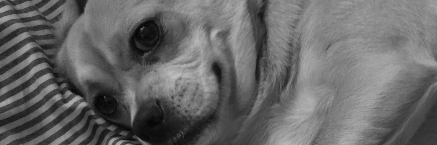 MiaLabossiere's profile banner image