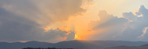 halbfinger Profile Banner