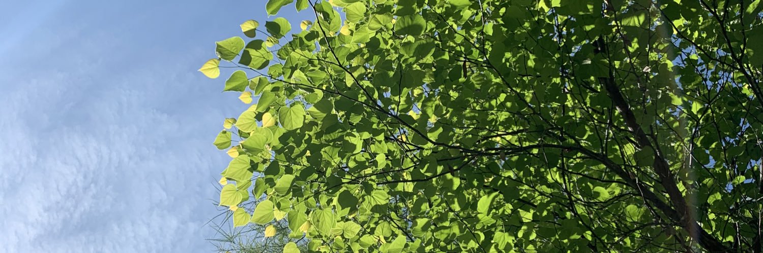 ktrandolph's profile banner image