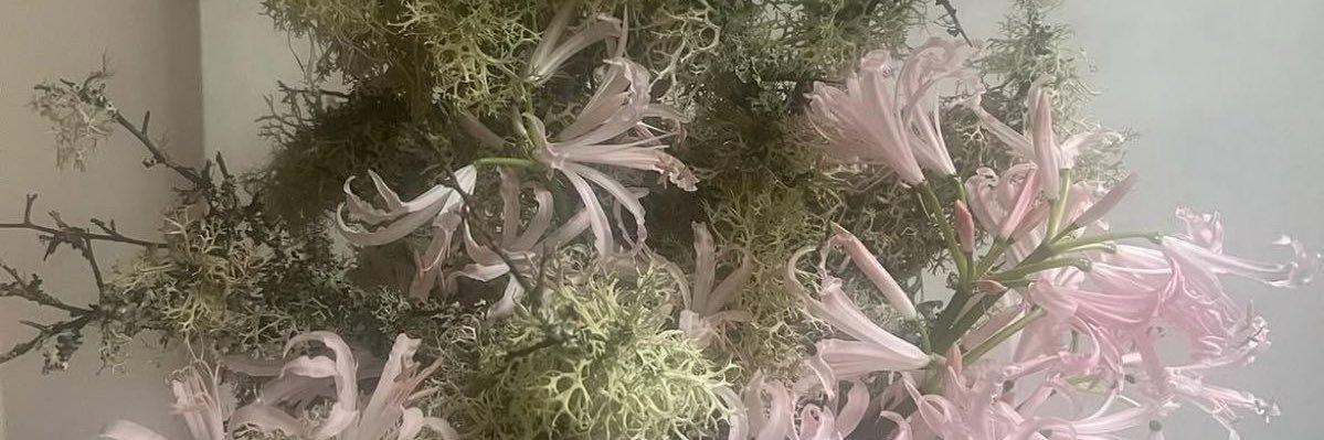 ева шоё 爱 ; banner