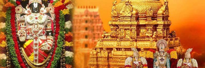 TTDsevas's profile banner image