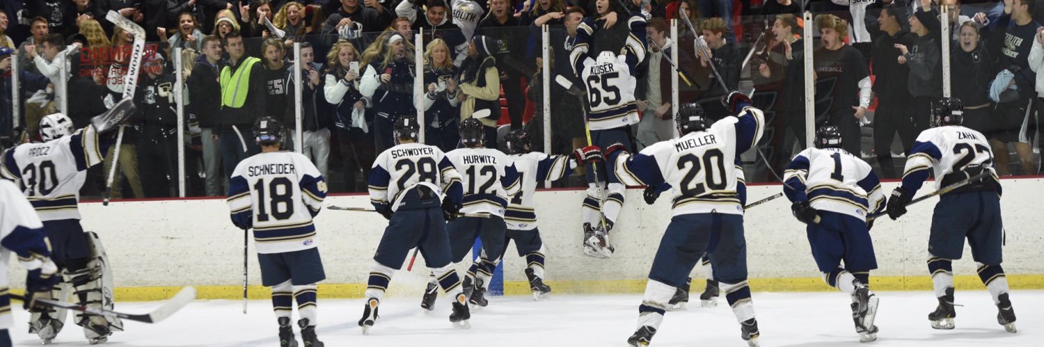 TheSHSHL's profile banner image