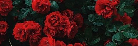 trapxgypsy's profile banner image