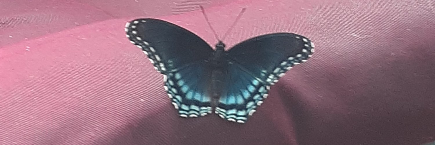 nicapbabe's profile banner image