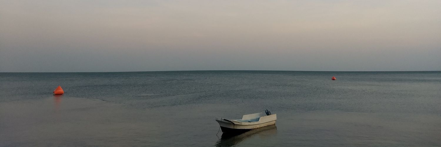 Luis ® Basto banner