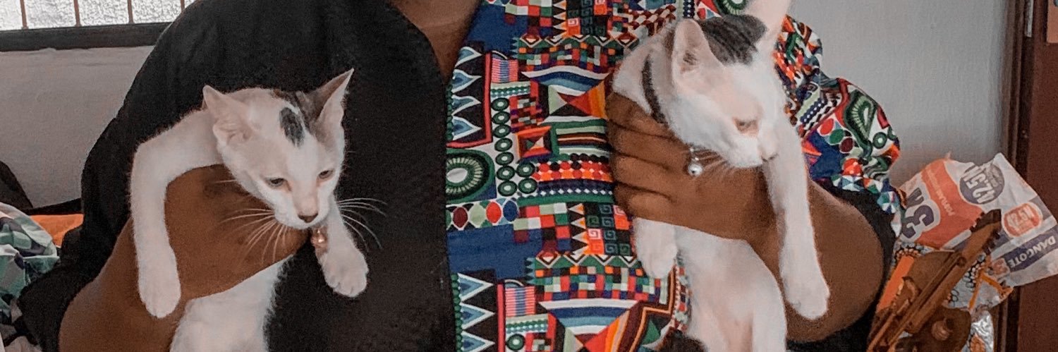 pamilerinxo's profile banner image