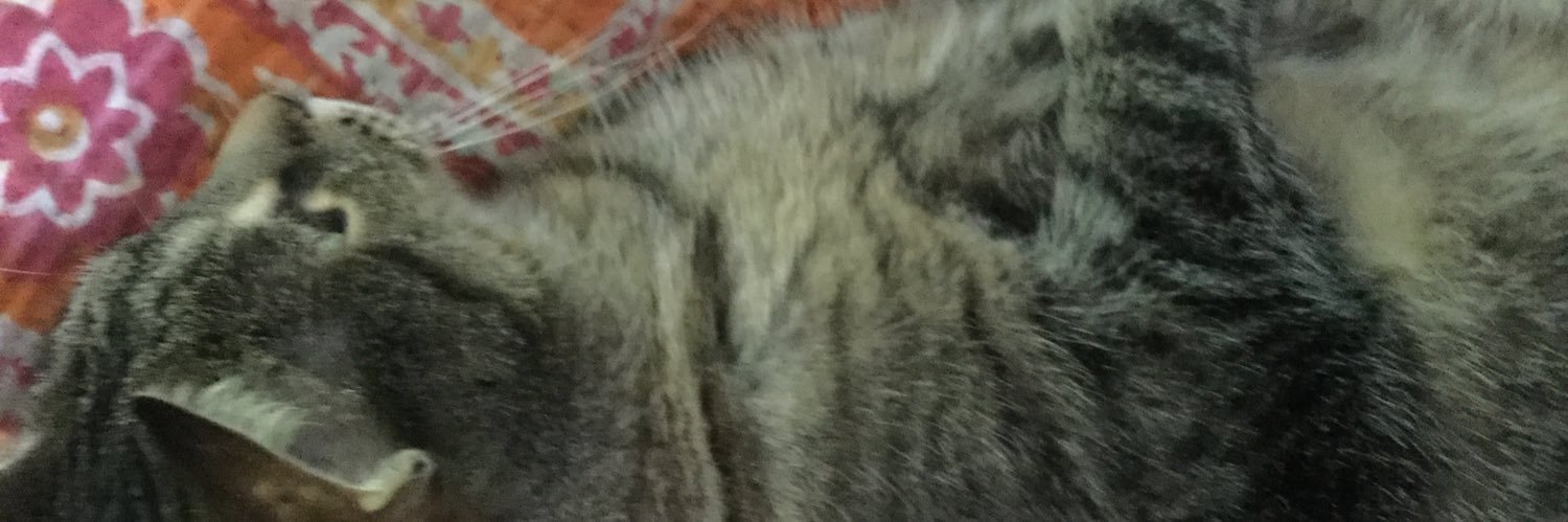 omnomnomnom variant banner