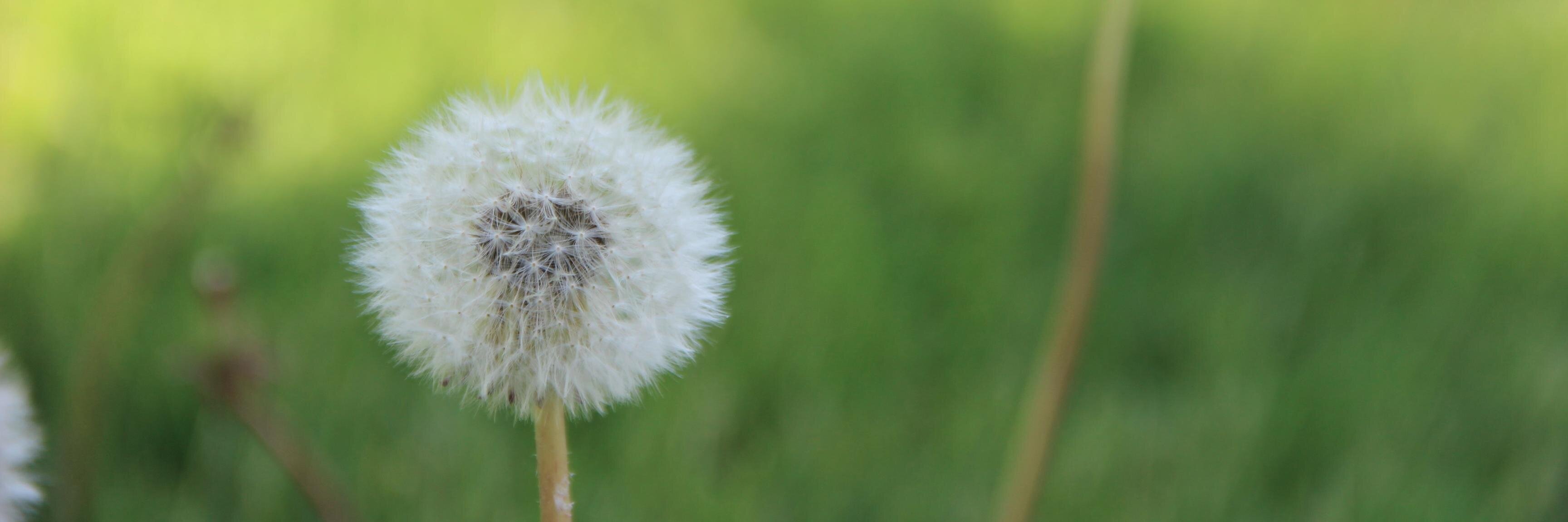HiSifan's profile banner image