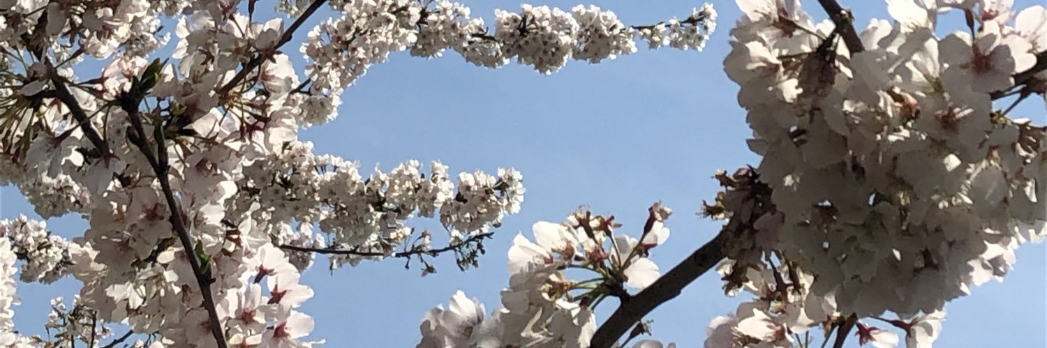 MeghanDurling's profile banner image