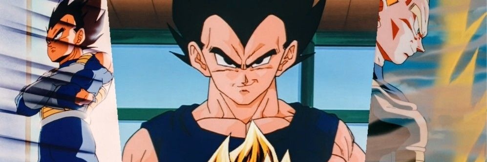 prince_vegeta91's profile banner image