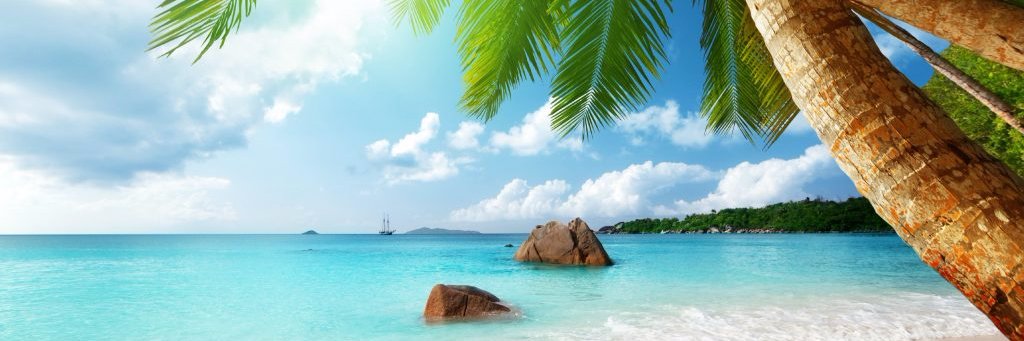 interlinecruise's profile banner image