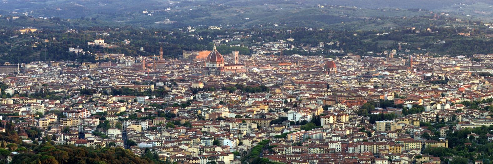 Fabio Collini banner